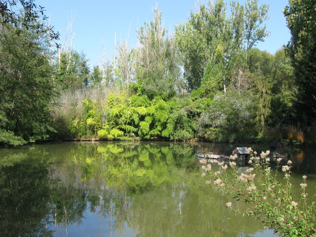 Saint-Alvère Bed & Breakfast Le Moulin Neuf المظهر الخارجي الصورة